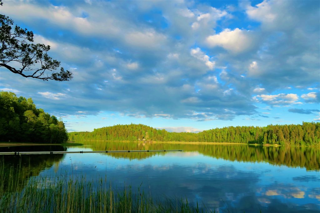 Chain O' Lakes Campground -- a lake and forest scene during the golden hour